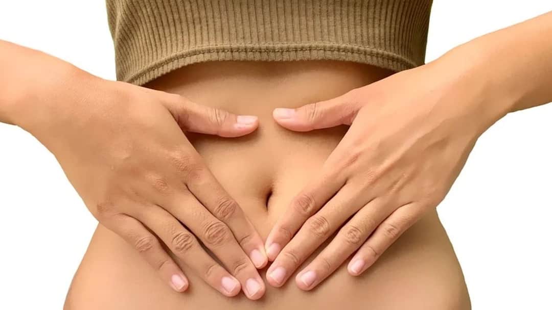 Four warning signs that indicate poor gut health, know in details Gut Health Update: কীভাবে বুঝবেন আপনার হজমের গোলমাল হয়েছে?