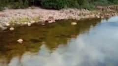 અસ્મિતા વિશેષ: સોનાનું સ્વીડન