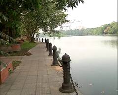 Kolkata: রবীন্দ্র সরোবরে ভেসে উঠল মরা মাছ, দূষণের মাত্রা বৃদ্ধিই কারণ, মত পরিবেশবিদদের