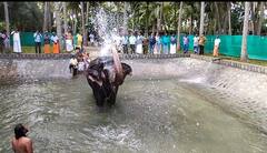 திருவரங்கம் கோயில் யானைகளுக்காக கட்டப்பட்ட நீச்சல் குளம்... உற்சாக குளியல் போட்ட யானைகள்... புகைப்படங்கள்
