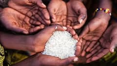 Life Lesson: जीवन में इन बातों का रखें खास ख्याल, भूलकर भी दान न करें ये चीजें, बढ़ सकती हैं परेशानियां