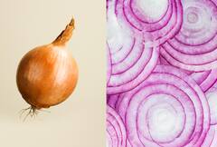 ਨਵੀਂ ਮੁਸੀਬਤ: ਹੁਣ ਪਿਆਜ਼ ਖਾਣ ਨਾਲ ਫੈਸਲ ਰਿਹਾ ਭਿਆਨਕ ਇੰਨਫੈਕਸ਼ਨ, 37 ਰਾਜਾਂ 'ਚ 652 ਲੋਕ ਸੰਕਰਮਿਤ