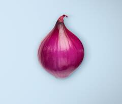 ਨਵੀਂ ਮੁਸੀਬਤ: ਹੁਣ ਪਿਆਜ਼ ਖਾਣ ਨਾਲ ਫੈਸਲ ਰਿਹਾ ਭਿਆਨਕ ਇੰਨਫੈਕਸ਼ਨ, 37 ਰਾਜਾਂ 'ਚ 652 ਲੋਕ ਸੰਕਰਮਿਤ