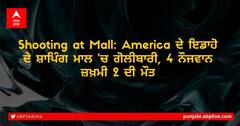 Shooting at Mall: America ਦੇ ਇਡਾਹੋ ਦੇ ਸ਼ਾਪਿੰਗ ਮਾਲ 'ਚ ਗੋਲੀਬਾਰੀ, 4 ਨੌਜਵਾਨ ਜ਼ਖ਼ਮੀ 2 ਦੀ ਮੌਤ