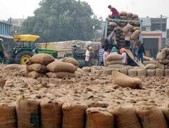 ਮੀਂਹ ਨਾਲ ਝੋਨਾ ਦਾ ਹੋਇਆ ਭਾਰੀ ਨੁਕਸਾਨ, ਅਨਾਜ ਮੰਡੀਆਂ ‘ਚ ਕਿਸਾਨ ਤੇ ਆੜ੍ਹਤੀਏ ਪਰੇਸ਼ਾਨ