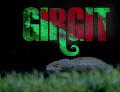 Upcoming Web Series Movies: दीवाली पर लगेगा इंटरटेनमेंट का तड़का, दमदार वेब सीरीज से लेकर मजेदार फिल्मों तक हो रही है रिलीज