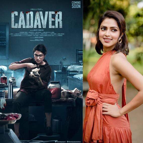 Amala Paul: అమలాపాల్ డేరింగ్ స్టెప్.. సొంతంగా ప్రొడక్షన్ హౌస్ Amala Paul: అమలాపాల్ డేరింగ్ స్టెప్.. సొంతంగా ప్రొడక్షన్ హౌస్