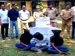 अज्ञानी चोर! चोरलेले साडेआठ लाखांचे हिरे खोटे समजून दिले फेकून, अटकेनंतर प्रताप उघड