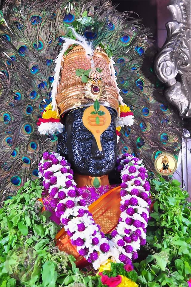 राज्यभरातून हजारो भाविक या यात्रेसाठी पंढरपूरला येत असतात. (Photo tweeted by : @PandharpurVR)