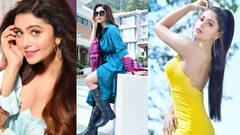 Ritabhari Chakraborty: অভিনয় ছাড়া আর কী করেন ঋতাভরী চক্রবর্তী?