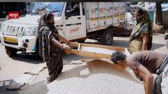 Maharashtra Soyabean Rate : सोयाबीनचा सध्या बाजार कसा आहे? भविष्यातला बाजार कसा राहील? : ABP Majha