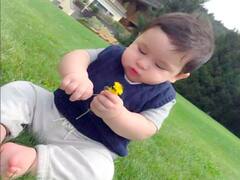 Taimur Ali Khan Transformation: पिछले 5 सालों में इतने बदल गए हैं Saif Ali Khan के बेटे तैमूर अली खान, देखें Photos