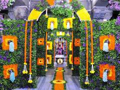 Kartiki Ekadashi : यंदा आषाढी कार्तिकीला विठुरायाचं भाविकांना दर्शन होणार; कोरोनाचे नियम पाळून वारकरी संप्रदायाची कार्तिकी यात्रा भरणार?