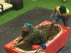 Bigg Boss 5 Telugu: బిగ్ బాస్ ఇంట్లో ''అభయహస్తం'' దక్కెదెవరికి... కెప్టెన్సీ పోటీదారుల టాస్క్ మళ్లీ  రచ్చ రచ్చే...
