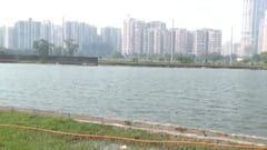 Noida: Ground-turned-pond becomes dangerous amid Dengue Crisis | Ground Report