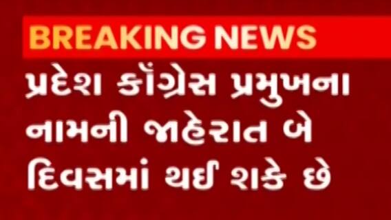 બે દિવસમાં પ્રદેશ કોંગ્રેસ પ્રમુખના નામની જાહેરાત થવાની શક્યતા, પ્રમુખની રેસમાં કોણ છે આગળ?