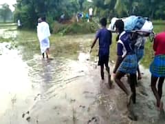 மயிலாடுதுறை: சுடுகாடு பாதையை ஆக்கிரமிப்பு - நடவு வயலில் உடலை சுமந்து செல்லும் அவலம்!