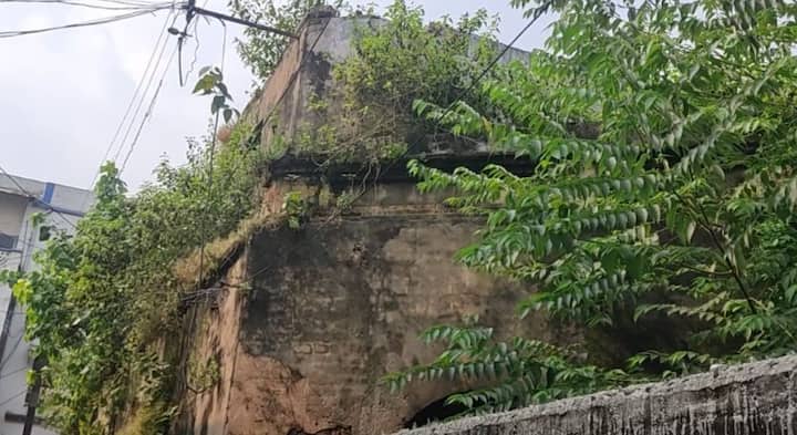 বর্তমান পুরোহিত  ভৈরবনাথ চট্টোপাধ্যায় বলেন,‘বড় কালী ইতিহাস বলতে তান্ত্রিক মতে পুজো আরম্ভ হয়। আমার পিতামহর মুখে শুনে আসছি রঘু ডাকাত এই পুজোটি শুরু করে। তার পর আমাদের বংশ পরম্পরা পুজো করে আসছি।'