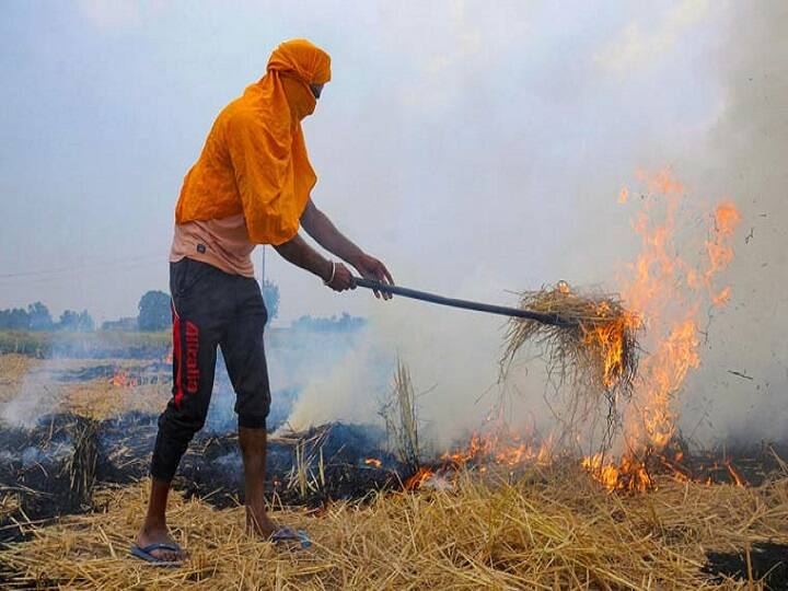 Stubble Burning cases increased by 218 percent in Punjab Stubble Burning: पंजाब में पराली जलाने के मामले में 218% इजाफा, पड़ोसी राज्यों की बिगड़ रही हवा