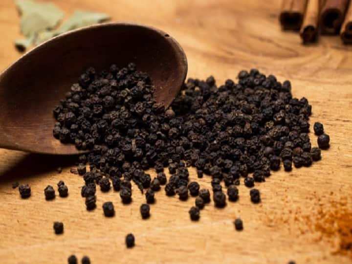 Black Pepper History Know when black pepper use have been started in India Black Pepper: कभी सोने के भाव में बिकती थी काली मिर्च! जानें इसके Intresting इतिहास के बारे में