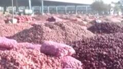 દિવાળીના તહેવાર સમયે જ ડુંગળીના ભાવ પહોંચ્યા આસમાને, પ્રતિ કિલોએ કેટલા વધ્યા ભાવ?