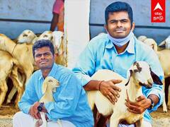 BJP Annamalai Assets: அண்ணாமலையின் சொத்து ஆடுகள் மட்டும்தானா?