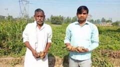 Moradabad: जिन किसानों ने बोई आलू की फसल, वो आज क्यों रो रहे हैं ? | Kisan Andolan