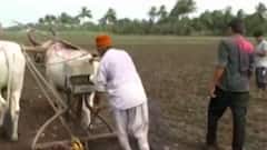 ટોપ 20: એમ.એસ. યુનિવર્સીટીમાં એડમિશન દરમિયાન છબરડો આવ્યો સામે, ગુજરાતી ન્યુઝ