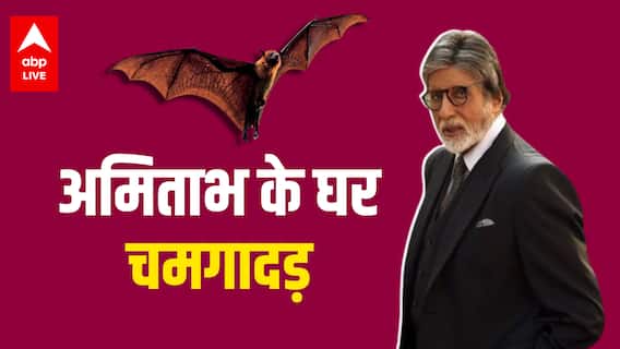 Amitabh Bachchan के घर घुसा चमगादड़.. लोगों से मांग रहे हैं मदद