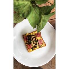 Best Egg Dishes : अंड्याचे शौकीन आहात? 'या' खास डिश नक्की ट्राय करा!