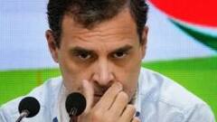 Rahul Gandhi on Bahadurgarh Truck Accident, 'Cruelty, hatred is making India hollow'