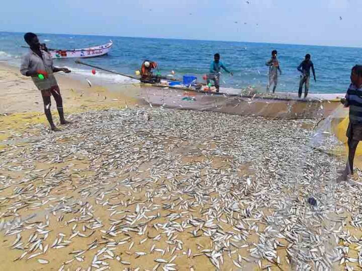 தென் மாவட்டங்களில் கவனிக்க வேண்டிய முக்கியச் செய்திகள்...!