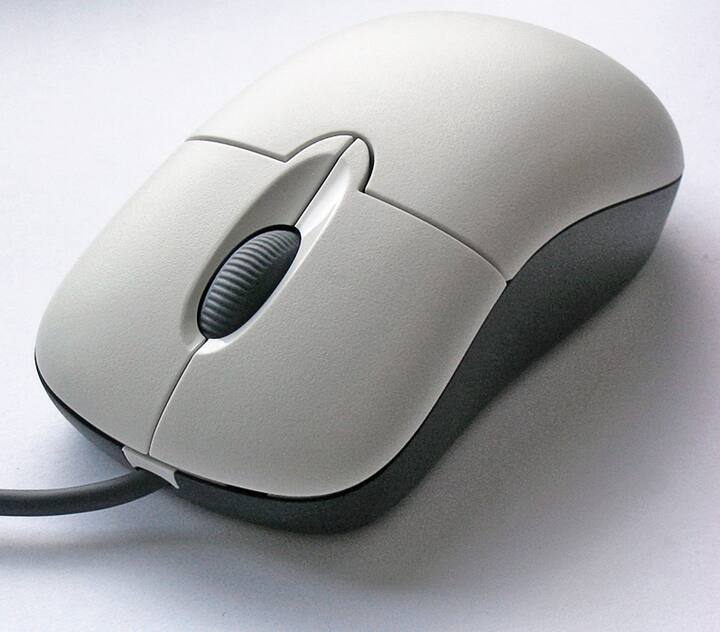 ਇੱਕ ਹੋਰ ਦਿਲਚਸਪ ਤੱਥ: ਇਸ ਨੂੰ 'ਮਾਊਸ' ਤੇ 'ਪੁਆਇੰਟਰ ਡਿਵਾਈਸ' ਤੋਂ ਇਲਾਵਾ 'ਟਰਟਲ' ਦਾ ਨਾਂ ਦਿੱਤਾ ਗਿਆ ਹੈ। ਅਜਿਹਾ ਇਸ ਲਈ ਕਿਉਂਕਿ ਇਸ ਕੰਪਿਊਟਰ ਯੰਤਰ ਦਾ ਖੋਲ ਵੀ ਕੱਛੂ ਵਾਂਗ ਸਖ਼ਤ ਹੈ ਤੇ ਆਕਾਰ ਵੀ ਇਸੇ ਤਰ੍ਹਾਂ ਦਾ ਹੈ ਪਰ ਕੱਛੂ ਦੀ ਗਤੀ ਬਹੁਤ ਘੱਟ ਹੁੰਦੀ ਹੈ, ਇਸ ਲਈ ਇਸ ਦਾ ਮਾਊਸ ਕਿਹਾ ਜਾਂਦਾ ਹੈ।