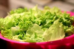 Lettuce Health Benefits: ক্যালশিয়াম, পটাশিয়াম থেকে অ্যান্টি-অক্সিডেন্ট; একাধিক পুষ্টিগুণ লেটুসে