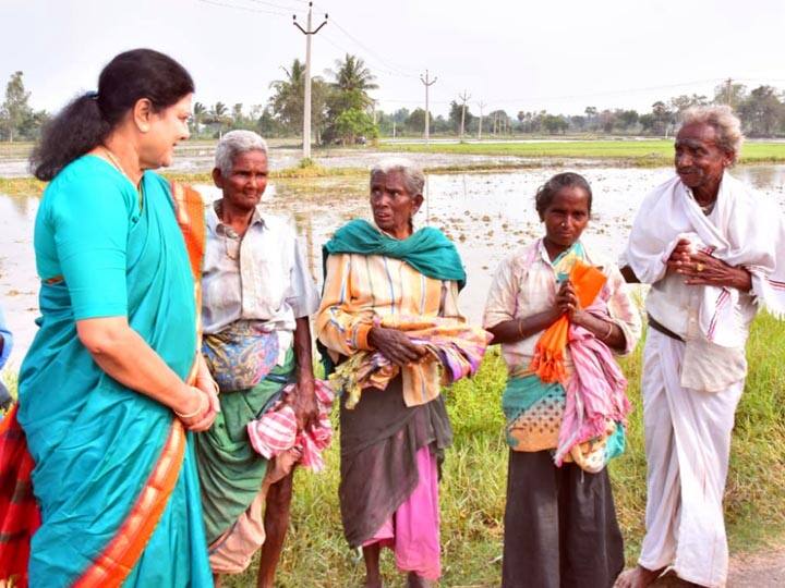Sasikala went to the women who planted paddy in Thanjavur and inquired about the cultivation தஞ்சாவூரில் நெல் நடவு செய்த பெண்களிடம் சென்று சாகுபடி பற்றி விசாரித்த சசிகலா...!
