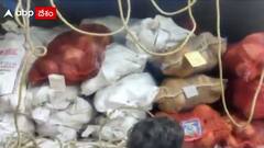 Ganja Smuggling: వామ్మో.. కొబ్బరి లోడ్ లో గంజాయి! తెలంగాణకు తరలిస్తున్న ముఠా గుట్టురట్టు