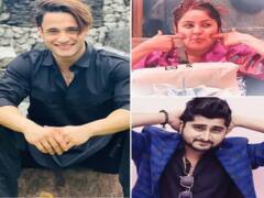 Bigg Boss में एंट्री लेते ही Asim Riaz और Deepak Thakur से लेकर Shehnaaz Gill समेत 10 गुमनाम लोग बन गए आम से खास, यहां देखें लिस्ट