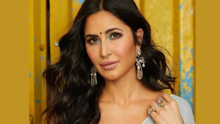 Katrina Kaif Drops Stunning Pics In Saree Amid Rumours Of Wedding With Vicky Kaushal Celebrities Update:  ভিকি কৌশলের সঙ্গে বিয়ের গুঞ্জনের মাঝেই ছবি পোস্ট, জল্পনা বাড়ালেন ক্যাটরিনা?