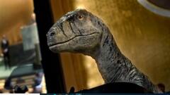 UN के Climate Change Campaign में घुसा डायनासोर !