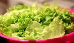 Lettuce Health Benefits: ক্যালশিয়াম, পটাশিয়াম থেকে অ্যান্টি-অক্সিডেন্ট; একাধিক পুষ্টিগুণ লেটুসে