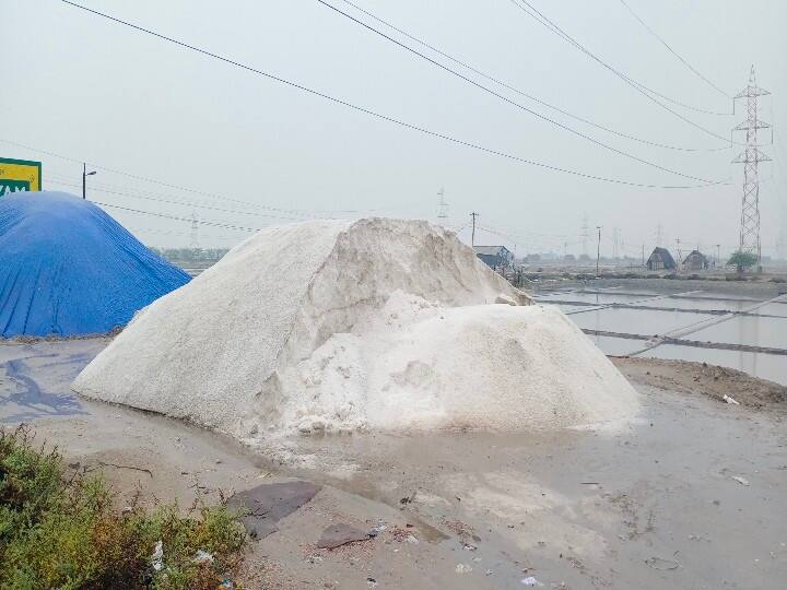 Thoothukudi: With the onset of monsoon, the salt season has come to an end and 17 lakh tonnes of salt has been produced this year பருவமழை தொடங்கியதால் முடிவுக்கு வந்த உப்பு சீசன் - இந்தாண்டில் மட்டும் 17 லட்சம் டன் உப்பு உற்பத்தி