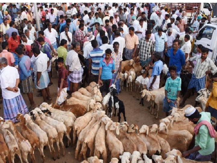 4 மணி நேரத்தில் ரூ.4 கோடிக்கு விற்றுத் தீர்த்த ஆடுகள்... களைகட்டும் தீபாவளி!