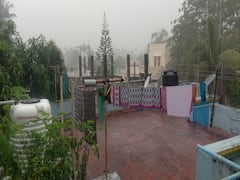 திருவாரூர், தூத்துக்குடி, தஞ்சை, திருச்சி, நெல்லை மாவட்ட பள்ளிகளுக்கு விடுமுறை: கனமழை காரணமாக அறிவிப்பு!