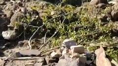 Uttarakhand Flood : अभी तक सुचारु नहीं हो पाईं सड़कें ! | ABP Ganga