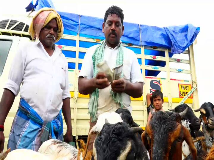 Goat sales goat market severely affected - 6 crore rupees market and not even 1 crore rupee ஆடுகள் விற்பனை கடுமையாக பாதிப்பு : வழக்கமான 6 கோடிக்கு விற்பனை.. இம்முறை இவ்வளவுதான்