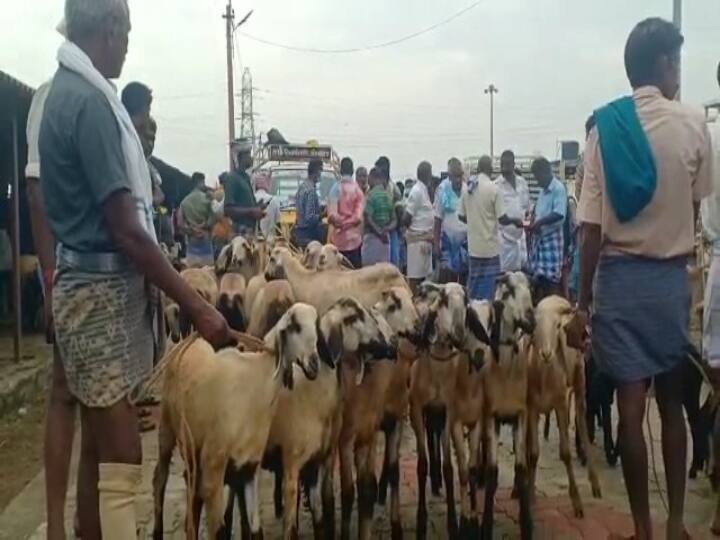 With only 4 days left for Deepavali, 4 crore goats were sold at the sheep market in Veppur தீபாவளிக்கு 4 நாட்களே உள்ள நிலையில் வேப்பூரில் நடந்த ஆட்டுச்சந்தையில் 4 கோடிக்கு ஆடுகள் விற்பனை