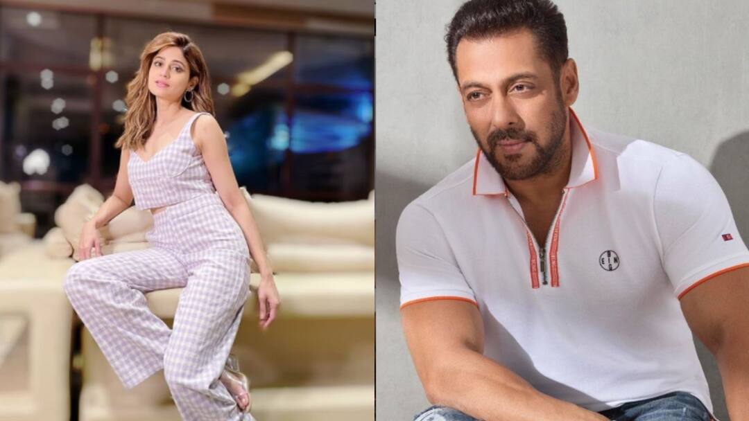 Bigg Boss 15: Salman Calls Shamita 'Sheesh Mahal Ki Rani', Offended Contestant Gives A Befitting Reply, Know In Details Big Boss 15: কাচের ঘরের রানি বলে কটাক্ষ সলমনের, কী উত্তর দিলেন ক্ষুব্ধ শমিতা?