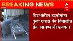 Chandrapur : कोळशाच्या तुटवड्यामुळे विदर्भातील उद्योगांना ऐन दिवाळीत पुन्हा एकदा ब्रेक ?
