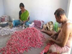 மறந்தும் இந்த வெடியெல்லாம் வெடிக்காதீங்க.. குற்றவியல் நடவடிக்கை பாயும்.. அரசு எச்சரிக்கை!