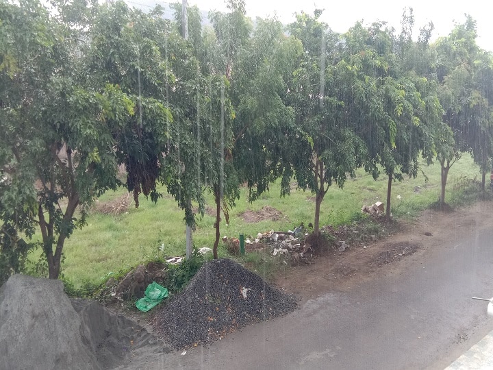 Heavy rains in Thiruvarur - Holidays announced for schools on the 2nd day திருவாரூரில் தொடர் கனமழை - 2ஆவது நாளாக பள்ளிகளுக்கு விடுமுறை அறிவிப்பு...!